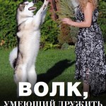 Статья