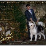 Отец Рады (Father) Ch Mlt Ivram Woodland Continue The Legend
