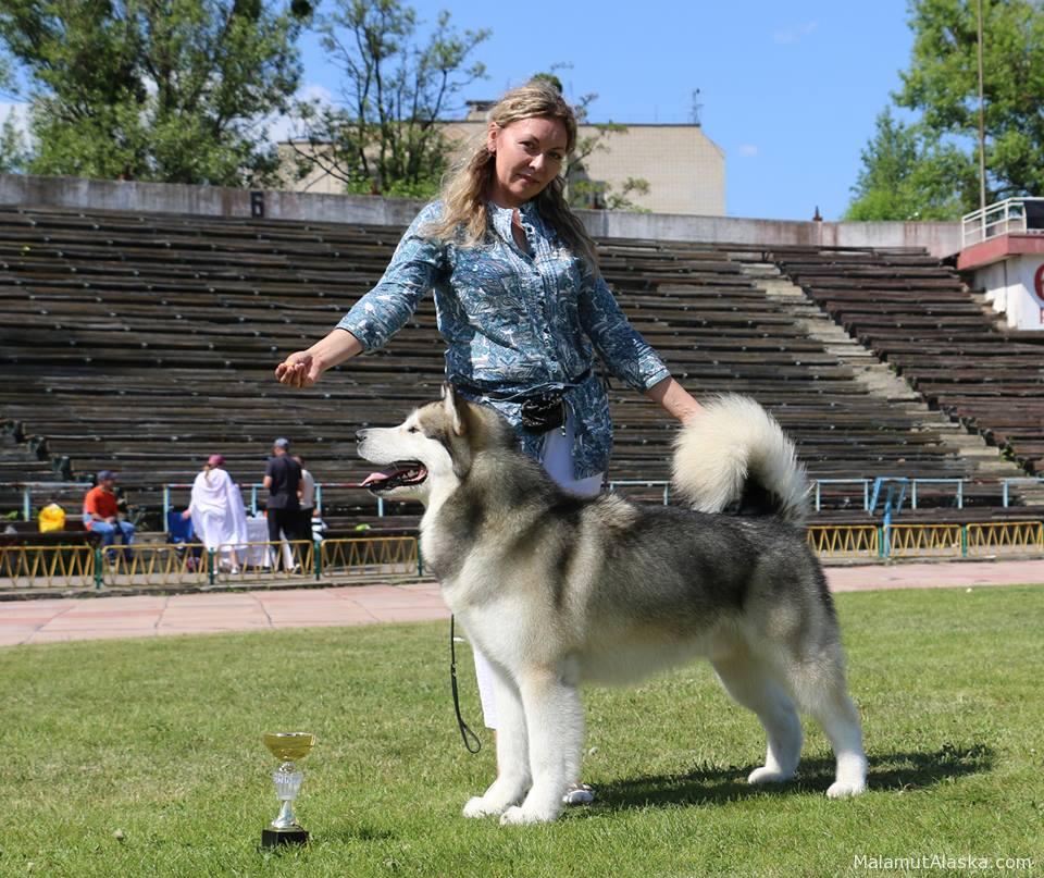 Гольф