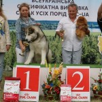 Гольф (Лучшая собака в 5 группе FCI) Выставка САС-UA в г.Ровно "Бурштиновий Кубок-2015"
