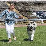 Победа на выставке "Винницкая весна"