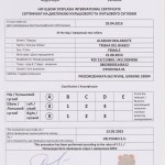 Обследование Триши