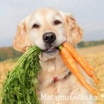 Витамины