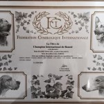 Сертификат Интерчемпиона