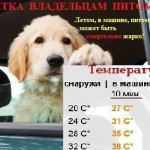 Памятка владельцу
