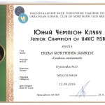 Сертификат Чемпиона Северных Ездовых Собак