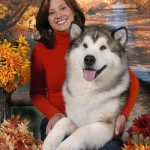 Linebreeding 3-4: BIS BISS Wind’s Fury Jacob Trailblazer BIS BISS AM/CAN CH ROM, 2008 Westminster Best of Breed Winner, Number 3 Malamute in the US in 2007 (Both Systems), Number 4 Malamute in the US in 2006, Number 4 Breeds US 2010, Number 5 Malamute in the US in 2010 as a Veteran, TDI CGC WWPD WWPDX WPD