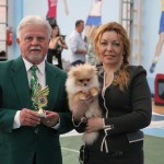 Pride of Pom Kiara Gold