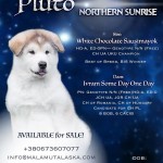 Pluto Northern Sunrise. Available for sale.