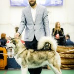 Мать: Empress Northern Sunrise Обследование на полинейропатию PN: Genotype N/N (Free) Обследование на дисплазию локтевых и тазобедренных суставов: HD-A, ED-0 JCН UА (Юный Чемпион Украины), J CAC 2