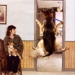 Собака боится ветеринара
