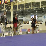 2112