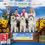 BB_3_EDS_Kyiv_2017