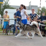 vistavka_vihodnih