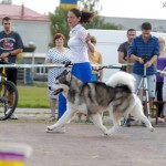 vistavka_vihodnih1