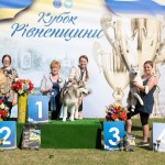 Национальная Выставка СAC-UA "Кубок Рівненщини"