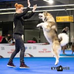 Чемпионат ЕвроДогШоу-2018