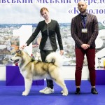 JEW'18 CHESVIK TOP ABSOLUTELY IN LOVE - 2*CAC, 2*CACIB, 2*BOB, BIG-1, BIS-3!