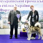 JEW'18 CHESVIK TOP ABSOLUTELY IN LOVE - 2*CAC, 2*CACIB, 2*BOB, BIG-1, BIS-3!