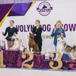FCI CACIB "VOLYN' SPRING - 2019"