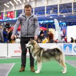 YARL NORTHERN SUNRISE Junior Champion of Breed!